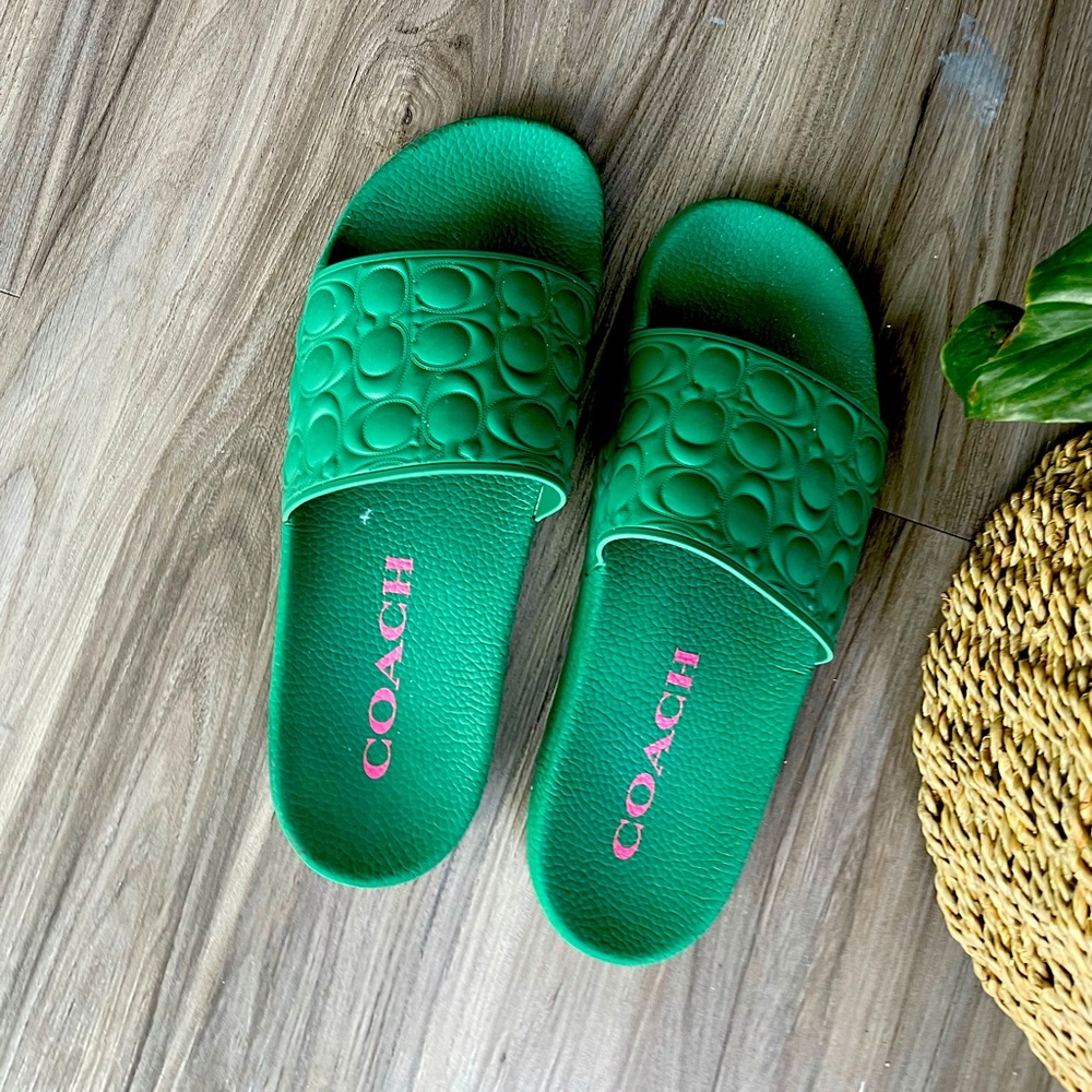 Beautiful coach slides